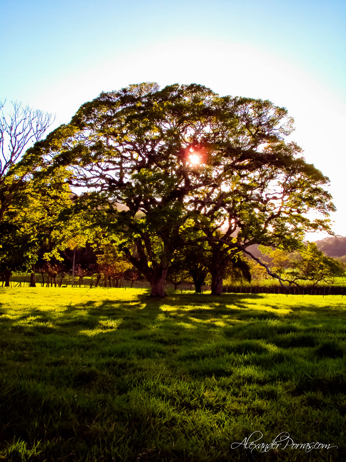 Paisaje 2 - Fotografía de Alexander Porras